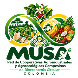 Cooperativismo MUSA